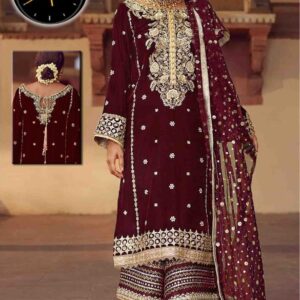 Anus Abrar velvet party wear